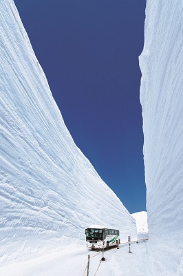立山黒部アルペンルート　雪の大谷